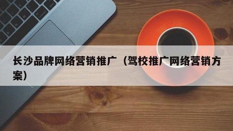 整站优化，避开这些常见陷阱，提升SEO效果